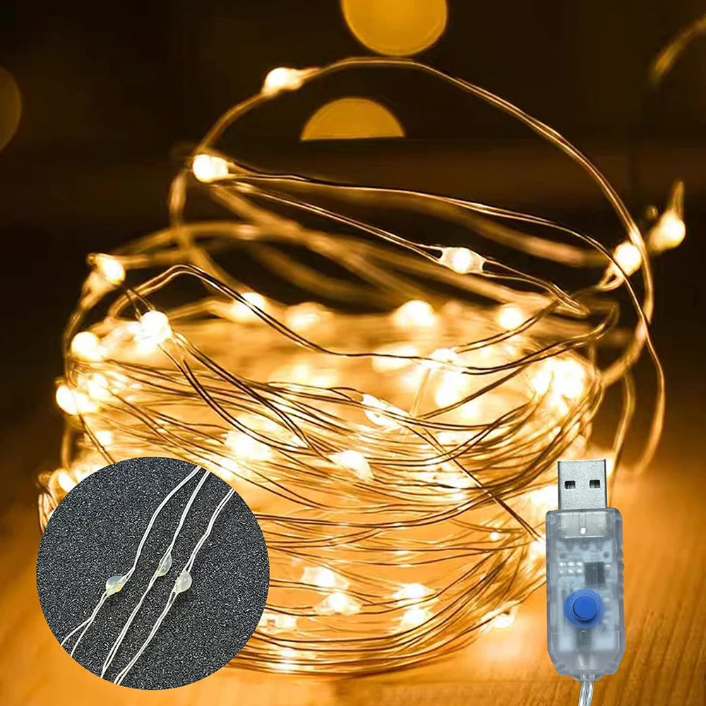 5M/10M/20M USB LED String Lights