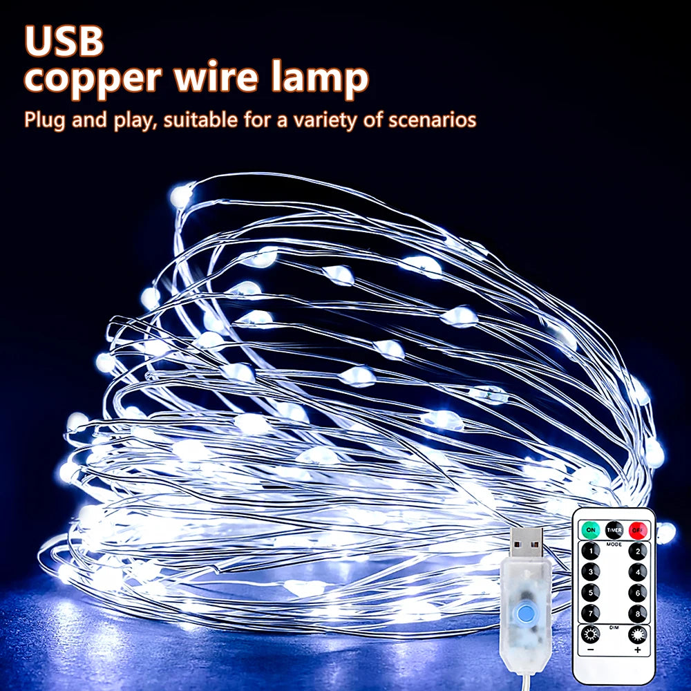 5M/10M/20M USB LED String Lights