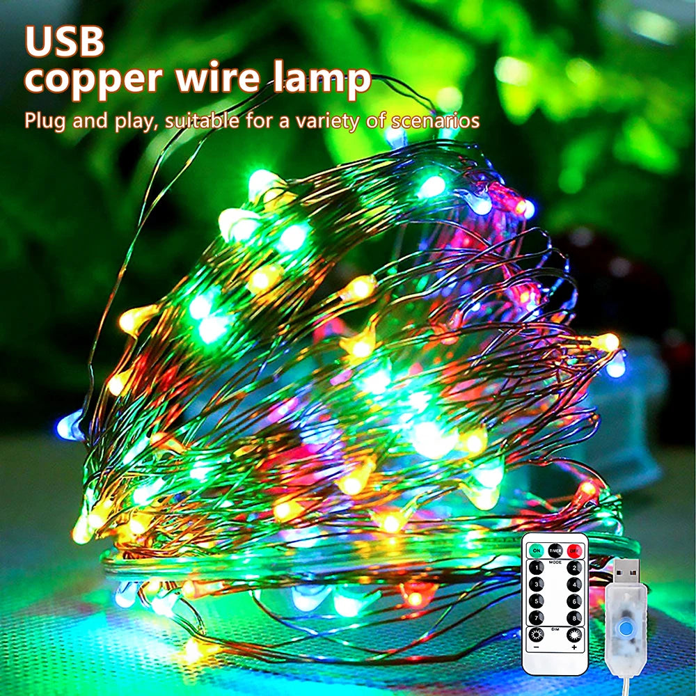 5M/10M/20M USB LED String Lights